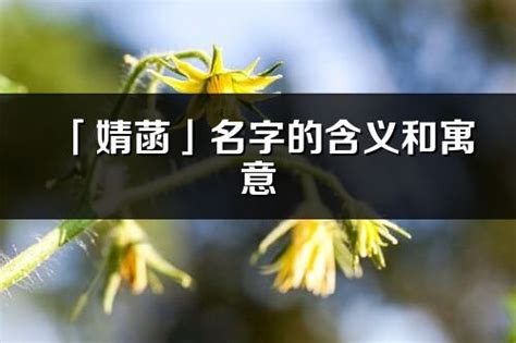 菡名字意思|菡字的含义和寓意